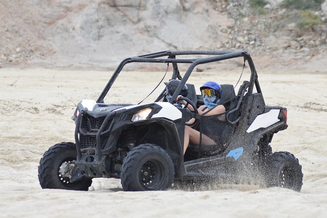 Combo Double Utv + Horses - Quick hits before you go