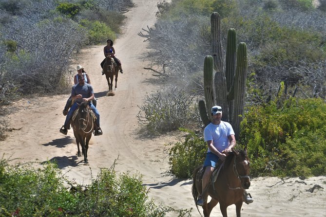 Combo Double Utv + Horses - Guides are the real differentiator here (and names matter)