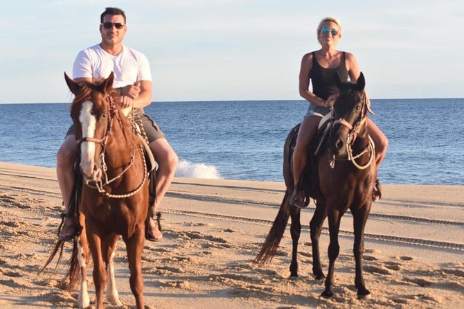 Combo Double Utv + Horses - Price and logistics: $400 per group, plus admission and insurance