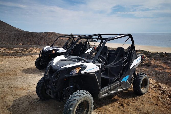 Combo Double Utv + Horses - Who should book this Cabo UTV + horses combo