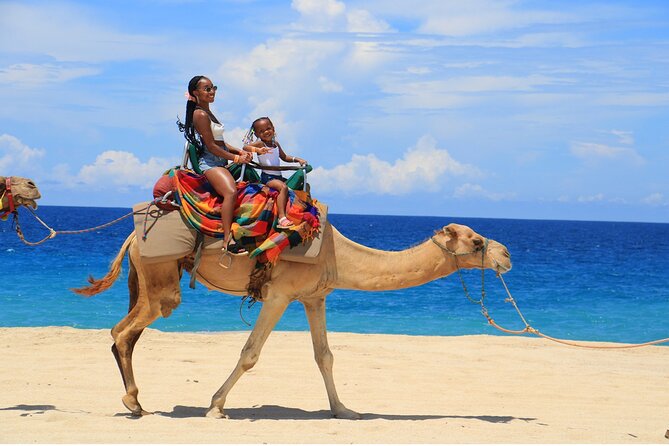Combo Horseback Ride and Sky Bike in Cabo - Tequila tasting and the kids club: why this tour works for families
