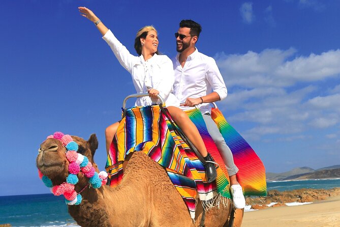 Combo Horseback Ride and Sky Bike in Cabo - Price, park fee, and whether it is good value at $125