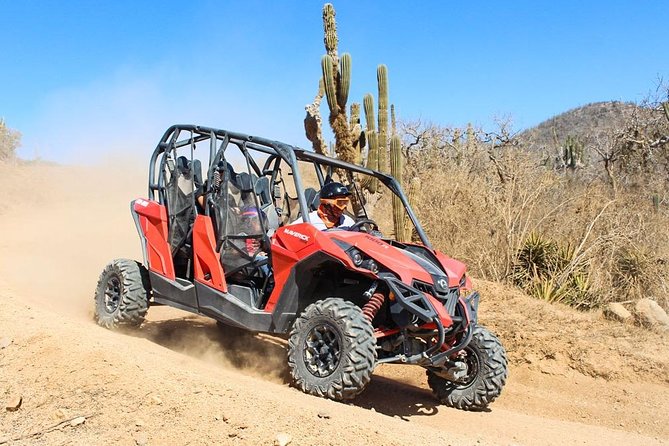COMBO Horseback Riding & UTV Tour - Price and Logistics: What $125 Really Turns Into