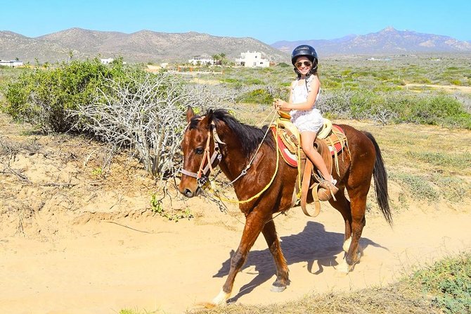 COMBO Horseback Riding & UTV Tour - Who This Tour Fits Best (And Who Should Reconsider)