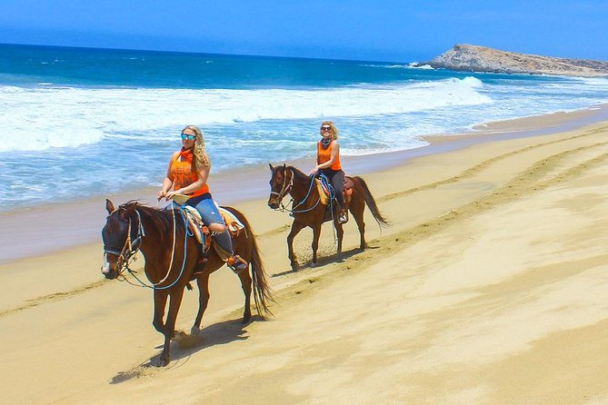 COMBO Horseback Riding & UTV Tour - Your 2-Hour Itinerary at G-Force Adventures (What Happens, and Why It Matters)