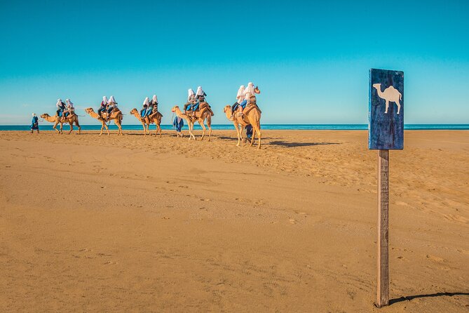 Combo Single Offroad 4x4 UTV, Camel Ride, Lunch & Tequila Tasting - Who should book this UTV plus camel combo, and who should skip it