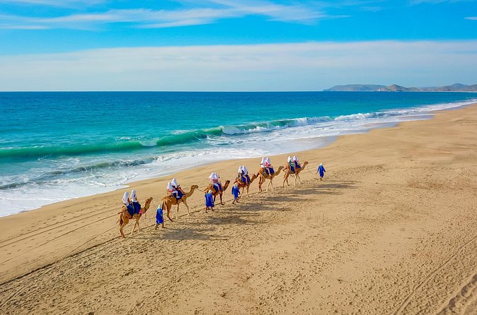 Combo Single Offroad 4x4 UTV, Camel Ride, Lunch & Tequila Tasting - Should you book this Cabo Adventures combo?