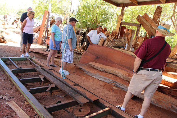 Cultural & Ecology, Nature & History of the hidden towns of Southern Baja! - Buena Vista: thermal waters and an old militar hacienda story