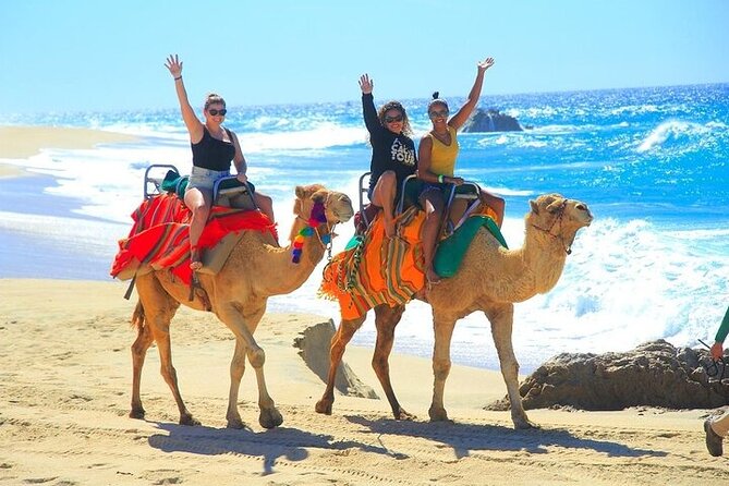 Day Pass Adventure in Los Cabos with Roundtrip Transport - Horseback Riding: The Calmer Activity That Balances the Day