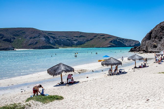 Day Trip to La Paz & Balandra Beach from Cabo San Lucas - Why this La Paz and Balandra trip feels like more than a beach day