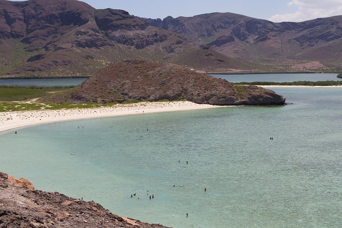 Day Trip to La Paz & Balandra Beach from Cabo San Lucas - Balandra Beach vs El Tecolote: access limits, jellyfish risk, and what to pack