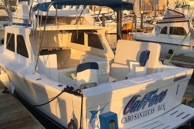 Deep Sea Fishing for 5 Hours from Cabo San Lucas - Marlin Capital Energy, With the Reality Check Included