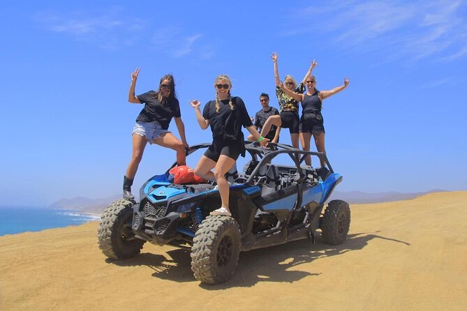 Desert and Beach Buggies Tour - Key highlights you will actually care about