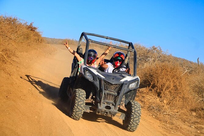 Desert and Beach Buggies Tour - Desert and Beach Buggy Tour: what makes it feel worth your time