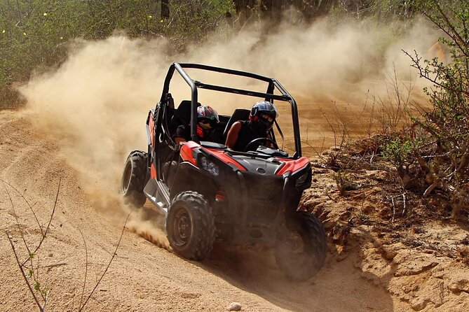 Desert and Beach Buggies Tour - Hidden Arch and the nature moments you do not want to rush
