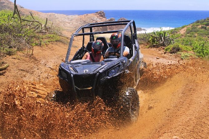 Desert and Beach Buggies Tour - Price and value: the real cost is base price plus insurance