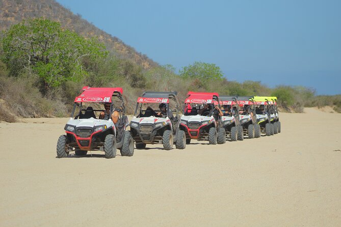 Desert and Beach UTV Adventure with Tequila Tasting - Key highlights you will actually care about