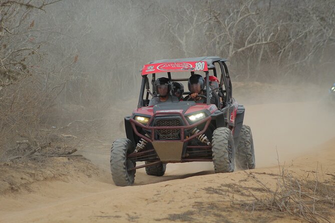 Desert and Beach UTV Adventure with Tequila Tasting - Tequila tasting included: how to think about it