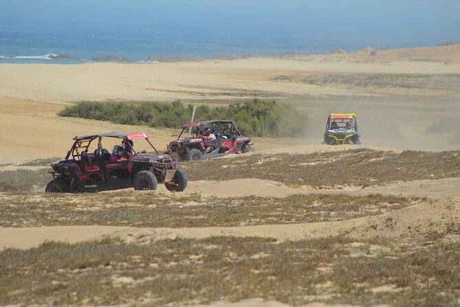 Desert and Beach UTV Adventure with Tequila Tasting - Pickup, meeting point, and how to avoid time stress