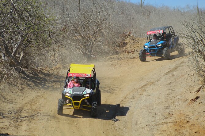 Desert and Beach UTV Adventure with Tequila Tasting - What to expect at each moment of the day