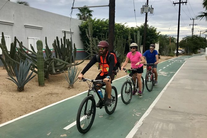 Desert Mountain Biking, fun and easy. - Desert Mountain Biking: The vibe, the route, and the guide