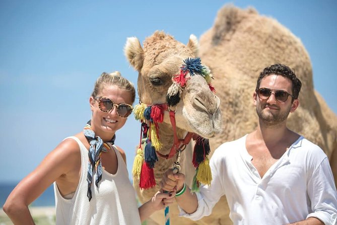Desert & sea, Camel Safari tour in Los Cabos with lunch - Key things to know