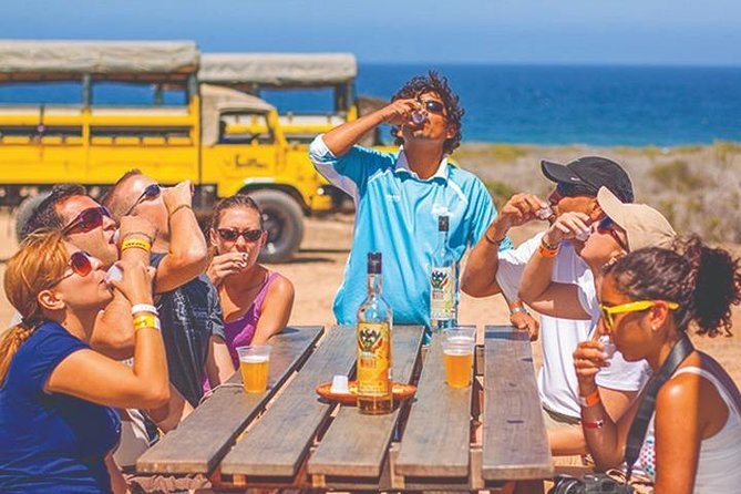 Desert & sea, Camel Safari tour in Los Cabos with lunch - Getting from your Cabo hotel to Tierra Sagrada