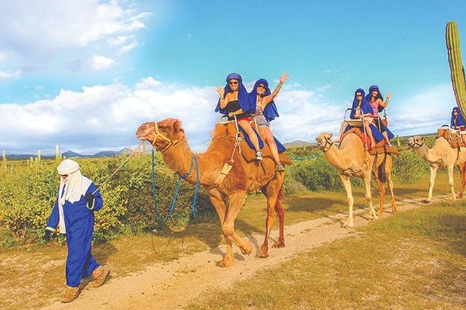 Desert & sea, Camel Safari tour in Los Cabos with lunch - Tortilla-making class and lunch buffet in a typical house