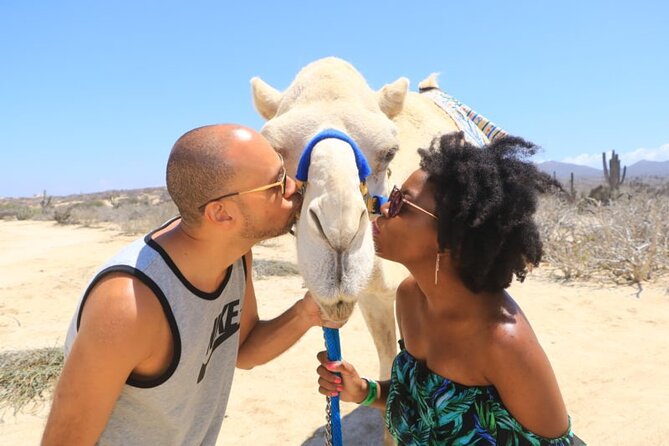 Desert & sea, Camel Safari tour in Los Cabos with lunch - Tequila and mezcal tastings with Damiana liquor