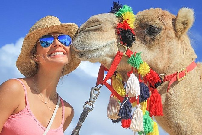 Desert & sea, Camel Safari tour in Los Cabos with lunch - Who should book this camel safari (and who should skip it)