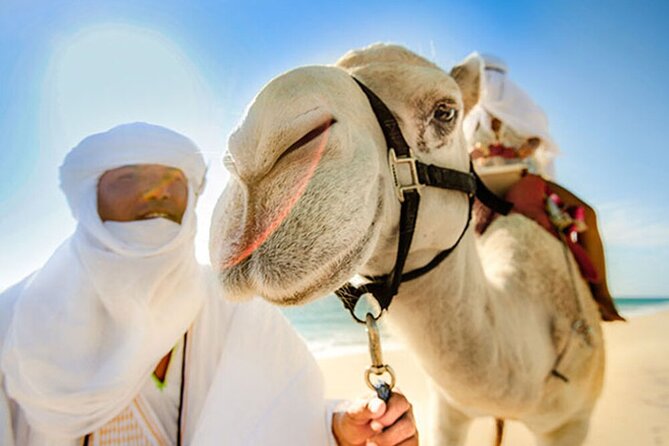 Desert & sea, Camel Safari tour in Los Cabos with lunch - Should you book this camel safari outside Los Cabos?