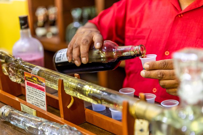 Dinner Cruise Tour in Cabo San Lucas with Tequila Tasting - Entertainment level: live music, DJ energy, and how to pick your spot
