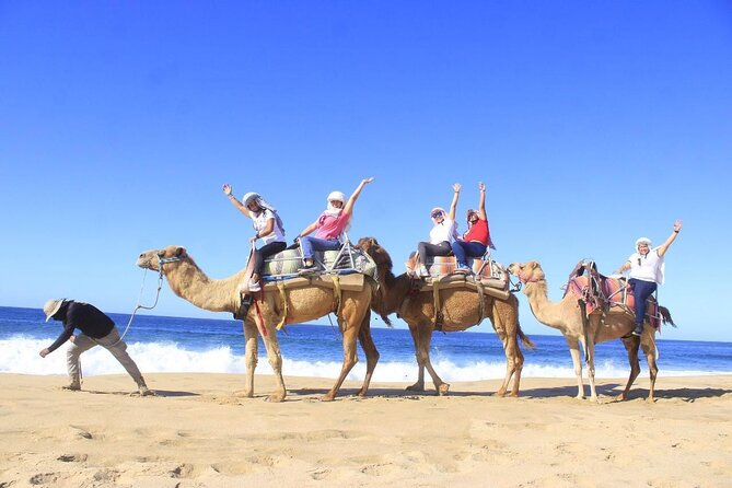 Discover Cabo San Lucas by camel ride - Key highlights at a glance
