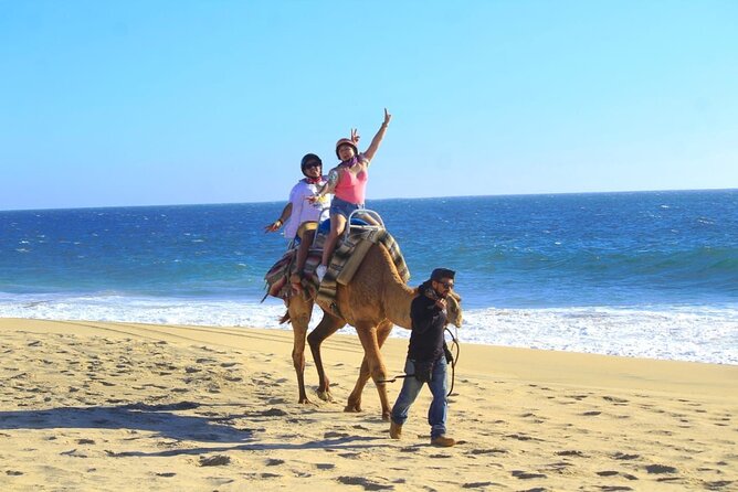 Discover Cabo San Lucas by camel ride - Snacks, Bottled Water, and the Bilingual Guide Touch