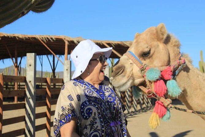 Discover Cabo San Lucas by camel ride - After the Ride: Returning the Camels to Their Stable