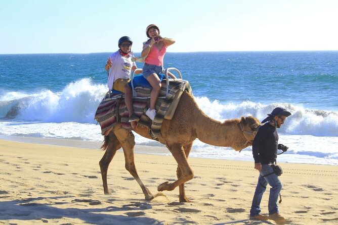 Discover Cabo San Lucas by camel ride - Best Fit: Who Will Enjoy This Camel Ride Most?
