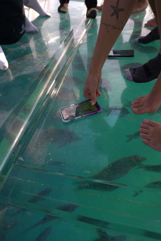 Discover Cabo San Lucas Clear Boat Glass Factory & Tequila - Key Things To Know Before You Go