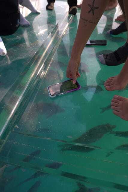 Discover Cabo San Lucas Clear Boat Glass Factory & Tequila - Museum of Natural History stop: quick context without a long commitment