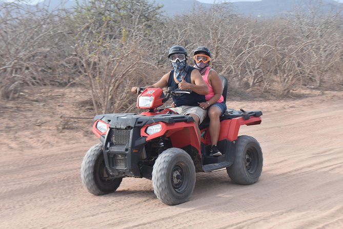 Double ATV Migriño Beach & Desert - Cactus spotting: 50+ types and the Baja endemics angle