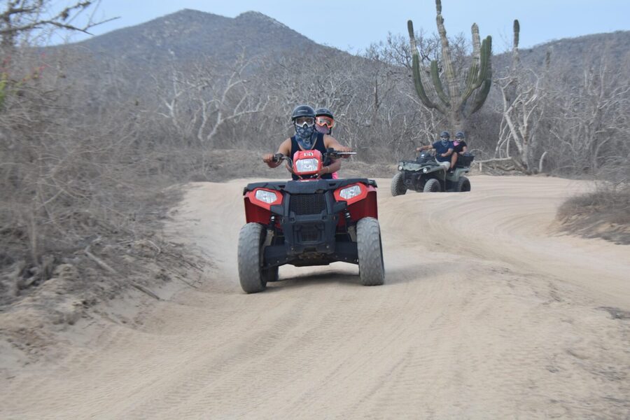 Double ATV Migriño Beach & Desert - Whale watching at rest stops, only when the season hits