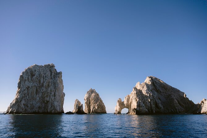 Educational Sunrise Whale Watching with Photos Included - Practical tips for a smoother morning at sea