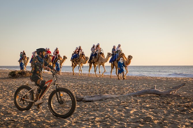 Electric Bike and Beach Camel Ride with Mexican Buffet Lunch - Quick hits before you go