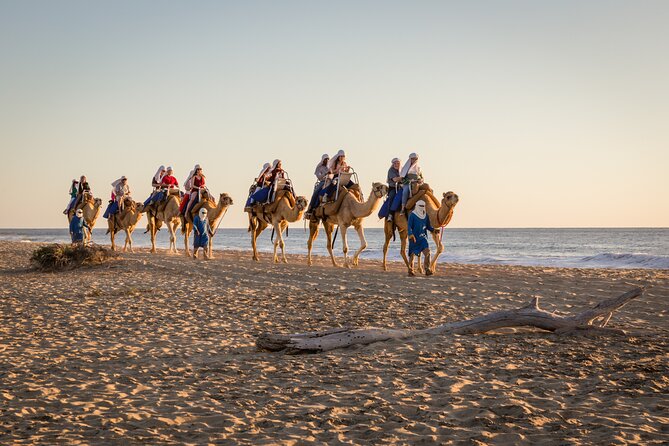 Electric Bike and Beach Camel Ride with Mexican Buffet Lunch - Your e-bike day starts with a scenic Pacific transfer