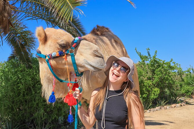 Electric Bike and Beach Camel Ride with Mexican Buffet Lunch - Margarita lesson and tequila tasting, plus an unlimited Mexican buffet