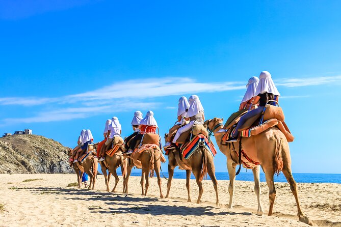 Electric Bike and Beach Camel Ride with Mexican Buffet Lunch - Photos, timing, and that Cabo sunset feeling