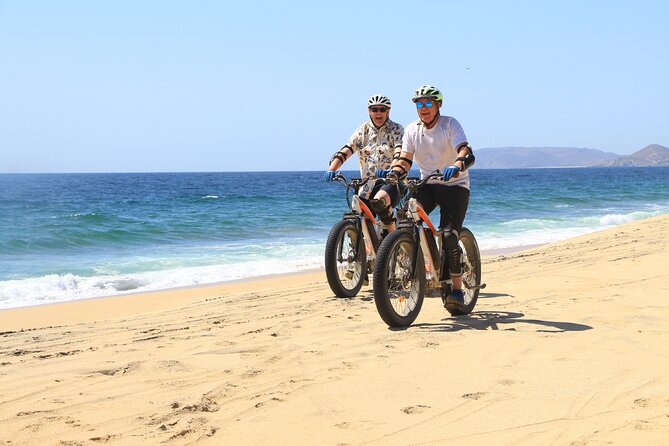 Electric Bike and Beach Camel Ride with Mexican Buffet Lunch - Camel time: friendly animals, photos, and learning on the beach