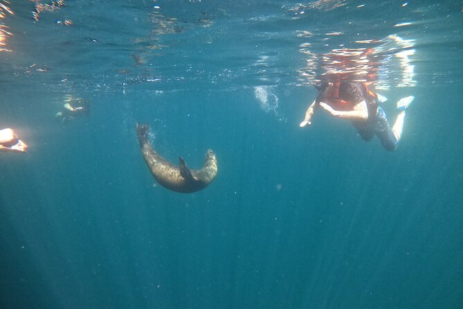 Espiritu Santo Island and sea lions - Beach time and lunch: the part you’ll feel most after the swim