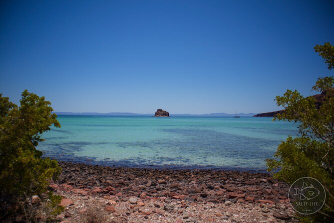Espiritu Santo Island and sea lions - Price and value: what $131.42 buys you in real life