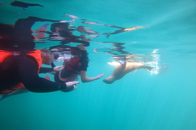 Espiritu Santo Island and sea lions - 6 hours on the water: schedule, timing, and what to expect