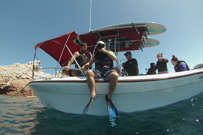 Espiritu Santo Island Combo: Sea Lions and Paddleboard 1 to 6 Private Group - Private group value: why up to six feels worth it